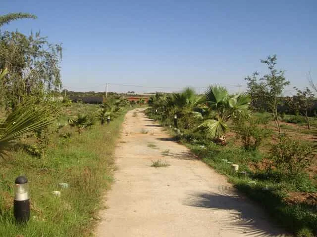 أرض زراعية مع منزل في سلا