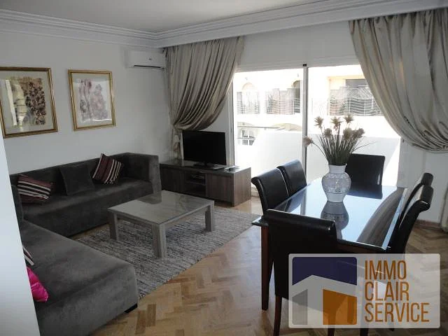 Furnished Apartment with Terrace in Racine