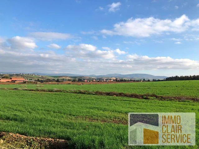 Terrain - Terrain - Khémisset